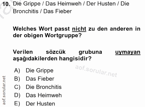10. soru: Die Grippe / Das Heimweh / Der Husten / Die Bronchitis / Das Fieber Welches Wort passt nicht zu den anderen in der ob…