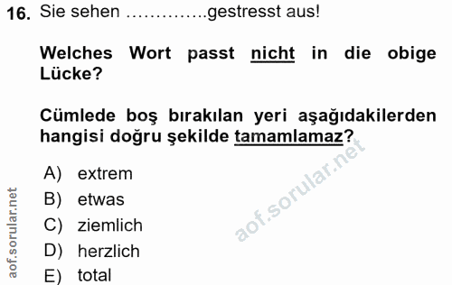 16. soru: Sie sehen ...gestresst aus! Welches Wort passt nicht in die obige Lücke? Cümlede boş bırakılan yeri aşağıdakilerden h…