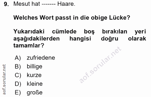 9. soru: Mesut hat --_-- Haare. Welches Wort passt in die obige Lücke? Yukarıdaki cümlede boş bırakılan yeri aşağıdakilerden h…