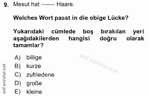9. soru: Mesut hat --_ Haare. Welches Wort passt in die obige Lücke? Yukarıdaki cümlede boş bırakılan yeri aşağıdakilerden han…