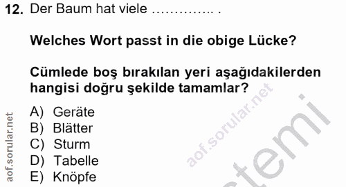 12. soru: Der Baum hat viele Welches Wort passt in die obige Lücke? Cümlede boş bırakılan yeri aşağıdakilerden hangisi doğru şe…