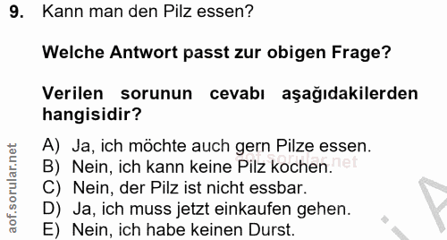 9. soru: Kann man den Pilz essen? Welche Antwort passt zur obigen Frage? Verilen sorunun cevabı aşağıdakilerden hangisidir? A)…