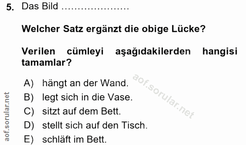 5. soru: Das Bild Welcher Satz ergänzt die obige Lücke? Verilen cümleyi aşağıdakilerden hangisi tamamlar? A) hängt an der Wand…