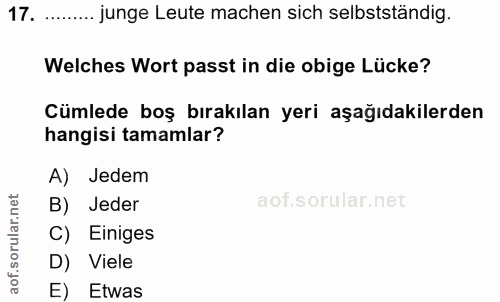 17. soru: .... junge Leute machen sich selbstständig. Welches Wort passt in die obige Lücke? Cümlede boş bırakılan yeri aşağıda…