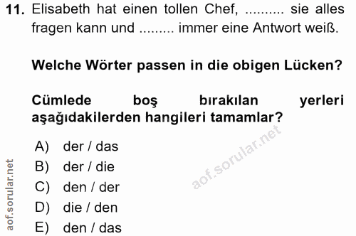 11. soru: Elisabeth hat einen tollen Chef, sie alles fragen kann und ........ immer eine Antwort weiß. Welche Wörter passen in…