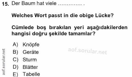15. soru: Der Baum hat viele Welches Wort passt in die obige Lücke? Cümlede boş bırakılan yeri aşağıdakilerden hangisi doğru şe…