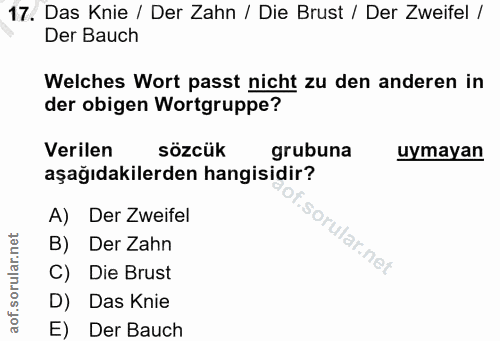 17. soru: Das Knie / Der Zahn / Die Brust / Der Zweifel / Der Bauch Welches Wort passt nicht zu den anderen in der obigen Wortg…