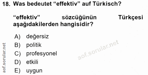 18. soru: Was bedeutet "effektiv" auf Türkisch? "effektiv" sözcüğünün Türkçesi aşağıdakilerden hangisidir? A) değersiz politik…
