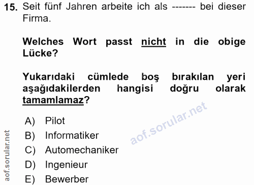 15. soru: Seit fünf Jahren arbeite ich als --- bei dieser Firma. Welches Wort passt nicht in die obige Lücke? Yukarıdaki cümled…