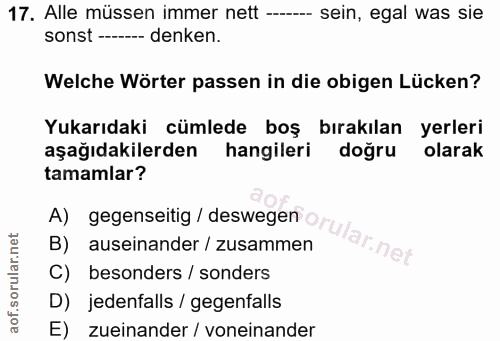 17. soru: Alle müssen immer nett --- sein, egal was sie sonst ---- •-- denken. Welche Wörter passen in die obigen Lücken? Yukar…