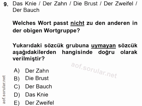 9. soru: Das Knie / Der Zahn / Die Brust / Der Zweifel / Der Bauch Welches Wort passt nicht zu den anderen in der obigen Wortg…