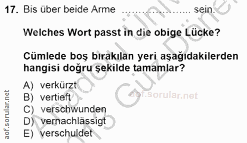 17. soru: Bis über beide Arme sein. Welches Wort passt in die obige Lücke? Cümlede boş bırakılan yeri aşağıdakilerden hangisi d…