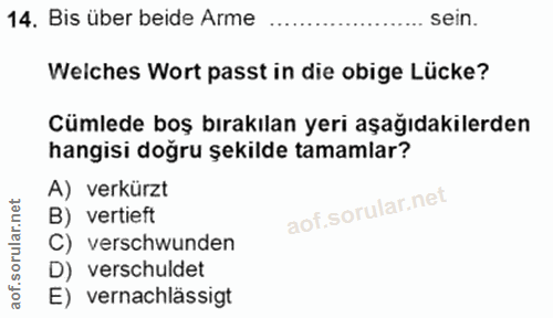 14. soru: Bis über beide Arme sein. Weiches Wort passt in die obige Lücke? Cümlede boş bırakılan yeri aşağıdakilerden hangisi d…
