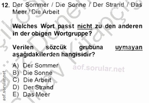 12. soru: Der Sommer / Die Sonne / Der Strand / Das Meer / Die Arbeit Welches Wort passt nicht zu den anderen in der obigen Wor…