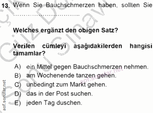 13. soru: Wenn Sie Bauchschmerzen haben, sollten Sie Welches ergänzt den obigen Satz? Verilen cümleyi aşağıdakilerden hangisi t…