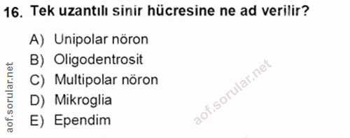 16. soru: Tek uzantılı sinir hücresine ne ad verilir? A) Unipolar nöron B) Oligodentrosit C) Multipolar nöron D) Mikroglia E) E…