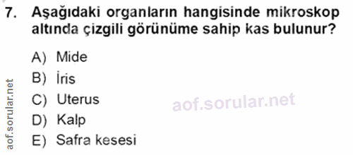7. soru: Aşağıdaki organların hangisinde mikroskop altında çizgili görünüme sahip kas bulunur? A) Mide B) iris aof.sorular.n C…