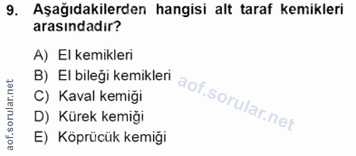 9. soru: Aşağıdakilerden hangisi alt taraf kemikleri arasındadir? A) El kemikleri B)El bileği kemikleri C) Kaval kemiği D) Kür…