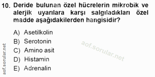 10. soru: Deride bulunan özel hücrelerin mikrobik ve alerjik uyarılara karşı salgıladıkları özel madde aşağıdakilerden hangisid…