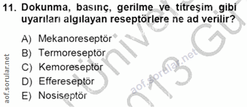 11. soru: Dokunma, basınç, gerilme ve titreşim gibi uyarıları algılayan reseptörlere ne ad verilir? A) Mekanoreseptör B) Termor…