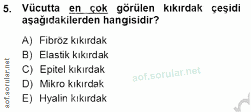 5. soru: Vücutta en çok görülen kıkırdak çeşidi aşağıdakilerden hangisidir? A) Fibröz kıkırdak B) Elastik kıkırdak C) Epitel k…