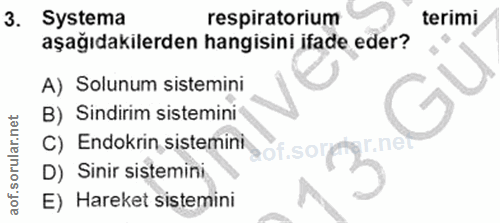 3. soru: Systema respiratorium terimi aşağıdakilerden hangisini ifade eder? A) Solunum sistemini B) Sindirim sistemini C) Endo…