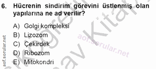 6. soru: Hücrenin sindirim görevini üstlenmiş olan yapılarına ne ad verilir? A) Golgi kompleksi B) Lizozom C) Çekirdek rular.n…