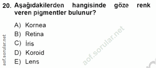 20. soru: Aşağıdakilerden hangisinde göze renk veren pigmentler bulunur? A) Kornea B) Retina C) iris D) Koroid E) Lens