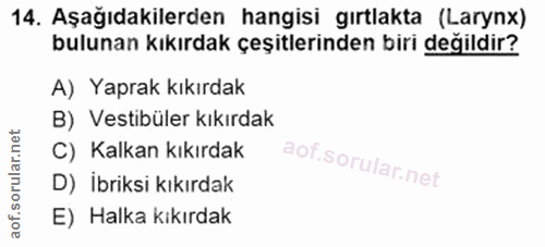 14. soru: Aşağıdakilerden hangisi gırtlakta (Larynx) bulunan kıkırdak çeşitlerinden biri değildir? A) Yaprak kıkırdak B) Vestib…