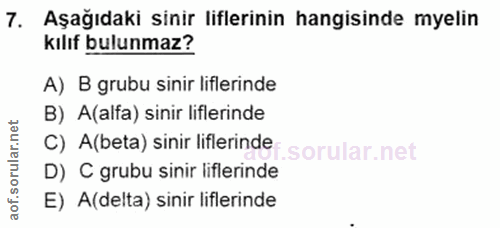 7. soru: Aşağıdaki sinir liflerinin hangisinde myelin kılıf bulunmaz? A) B grubu sinir liflerinde B) A(alfa) sinir liflerinde…