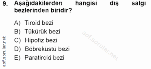9. soru: Aşağıdakilerden hangisi dış salgi bezlerinden biridir? A) Tiroid bezi B) Tükürük bezi net C) Hipofiz bezi ar D) Böbre…