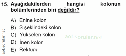 15. soru: Aşağıdakilerden hangisi kolonun bölümlerinden biri değildir? A) Enine kolon B) S şeklindeki kolon C) Yükselen kolon a…