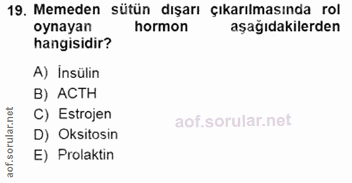 19. soru: Memeden sütün dışarı çıkarılmasında rol oynayan hormon aşağıdakilerden hangisidir? A) Insülin B) ACTH C) Estrojen rul…