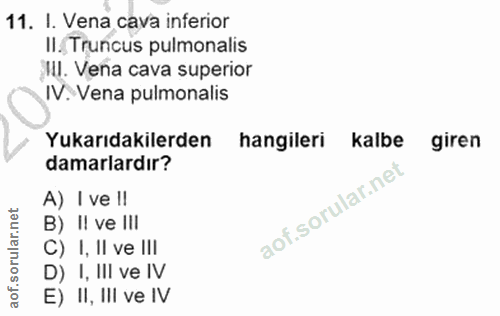 11. soru: I. Vena cava inferior II. Truncus pulmonalis II. Vena cava superior IV. Vena pulmonalis Yukarıdakilerden hangileri ka…