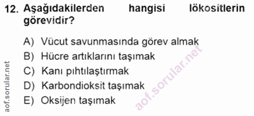 12. soru: Aşağıdakilerden hangisi lökositlerin görevidir? A) Vücut savunmasında görev almak B) Hücre artıklarını taşımak C) Kan…