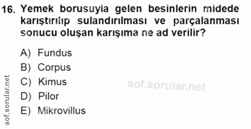 16. soru: Yemek borusuyla gelen besinlerin midede karıştırılıp sulandırılması ve parçalanması sonucu oluşan karışıma ne ad veri…