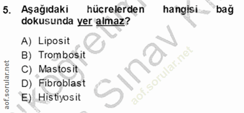 5. soru: Aşağıdaki hücrelerden hangisi bag dokusunda yer almaz? A) Liposit B) Trombosit C) Mastos it Sınai D) Fibroblast E) Hi…