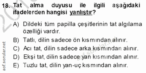 18. soru: Tat alma duyusu ile ilgili aşağıdaki ifadelerden hangisi yanlıştır? A) Dildeki tüm papilla çeşitlerinin tat algılama…