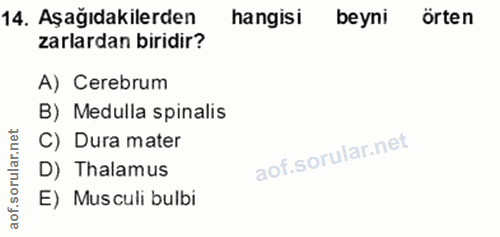 14. soru: Aşağıdakilerden hangisi beyni örten zarlardan biridir? A) Cerebrum B) Medulla spinalis orular.net C) Dura mater D) Th…
