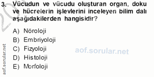 3. soru: Vücudun ve vücudu oluşturan organ, doku ve hücrelerin işlevlerini inceleyen bilim dalı aşağıdakilerden hangisidir? A)…