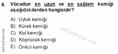8. soru: Vücudun en uzun ve en sağlam kemiği aşağıdakilerden hangisidir? A) Uyluk kemiği B) Kürek kemiği C) Kol kemiği D) Köpr…