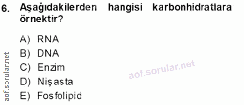 6. soru: Aşağıdakilerden hangisi karbonhidratlara örnektir? A) RNA B) DNA C) Enzim D) Nişasta E) Fosfolipid