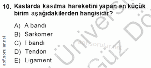 10. soru: Kaslarda kasılma hareketini yapan en küçük birim aşağıdakilerden hangisidir? A) A bandi B) Sarkomer C) I bandi sorula…
