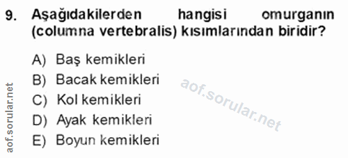 9. soru: Aşağıdakilerden hangisi omurganin (columna vertebralis) kısımlarından biridir? A) Baş kemikleri B) Bacak kemikleri C)…