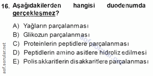16. soru: Aşağıdakilerden hangisi duode numda gerçekleşmez? A) Yağların parçalanması B) Glikozun parçalanması C) Proteinlerin p…