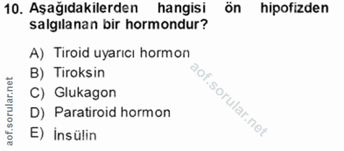 10. soru: Aşağıdakilerden hangisi ön hipofizden salgılanan bir hormondur? A) Tiroid uyarıcı hormon B) Tiroksin C) Glukagon D) P…