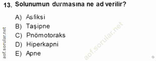 13. soru: Solunumun durmasina ne ad verilir? A) Asfiksi B) Taşipne C) Pnömotoraks D) Hiperkapni E) Apne