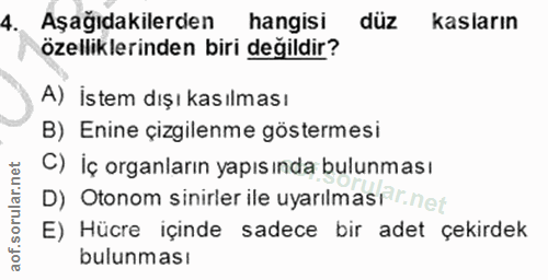 4. soru: Aşağıdakilerden hangisi düz kasların özelliklerinden biri değildir? A) İstem dışı kasılması B) Enine çizgilenme göste…