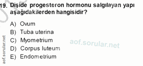19. soru: Dişide progesteron hormonu salgılayan yapı aşağıdakilerden hangisidir? A) Ovum B) Tuba uterina C) Myometrium D) Corpu…