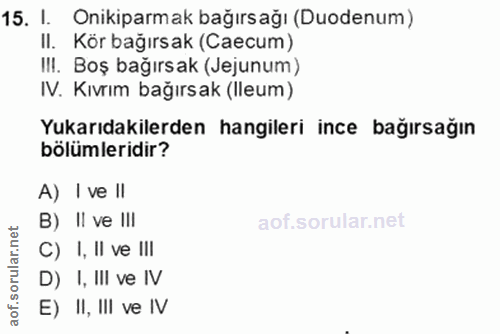 15. soru: I. Onikiparmak bağırsağı (Duodenum) II. Kör bağırsak (Caecum) II!. Boş bağırsak (Jejunum) IV. Kıvrım bağırsak (lleum)…
